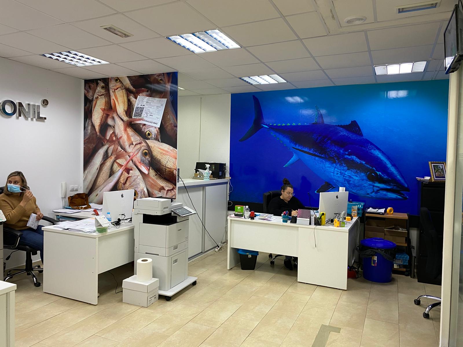 Pesconil-Sede-Conil Pesconil-Sede-Conil