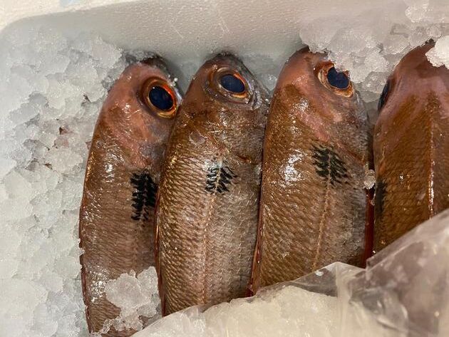 Pesconil-Pescados-Besugos Pesconil-Pescados-Besugos