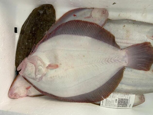Pesconil-Pescados-Rodaballo Pesconil-Pescados-Rodaballo