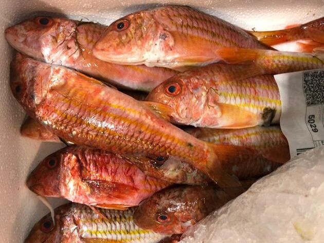 Pesconil-Pescados-Salmonetes Pesconil-Pescados-Salmonetes